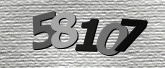 Captcha resmi