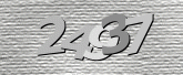 Captcha resmi