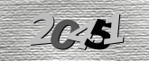 Captcha resmi