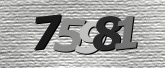 Captcha resmi