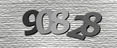 Captcha resmi