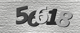 Captcha resmi