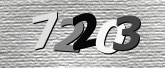 Captcha resmi