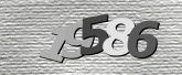 Captcha resmi