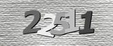 验证码